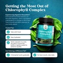 chlorophyll-capsules-for-cleanse-and-det-4.jpg