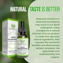 benevolent-chlorophyll-liquid-drops-wome-3.jpg