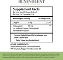 benevolent-chlorophyll-liquid-drops-wome-4.jpg