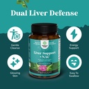 bundle-of-liver-support-supplement-with--4.jpg