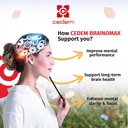 switzerland-brainomax-20-powder-sticks-b-3.jpg