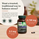 gaia-herbs-ashwagandha-root---made-with--4.jpg