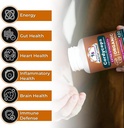 cancer-sciences-cordyceps-mushroom-suppl-4.jpg