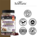 mushroom-gummies-for-adults-10-in-1-func-6.jpg