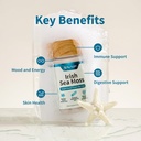 snap-supplements-irish-sea-moss-capsules-6.jpg