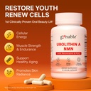 gynable-patented-urolithin-a-supplement--2.jpg