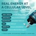 nad-elite-complex-direct-nad-300-mg-with-2.jpg