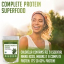 xprs-nutra-organic-chlorella-powder---br-2.jpg
