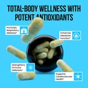 vitaraw-organic-quercetin-with-bromelain-5.jpg