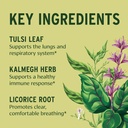 banyan-botanicals-immune-strong-organic--2.jpg