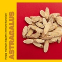 swisse-mullein-lung-cleanse-for-smokers--4.jpg