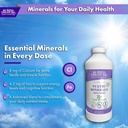 buried-treasure-fulvic-minerals-grape-fl-4.jpg