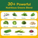 greens-daily-gummies-super-greens-gummie-4.jpg