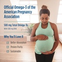nordic-naturals-vegan-prenatal-dha-unfla-6.jpg