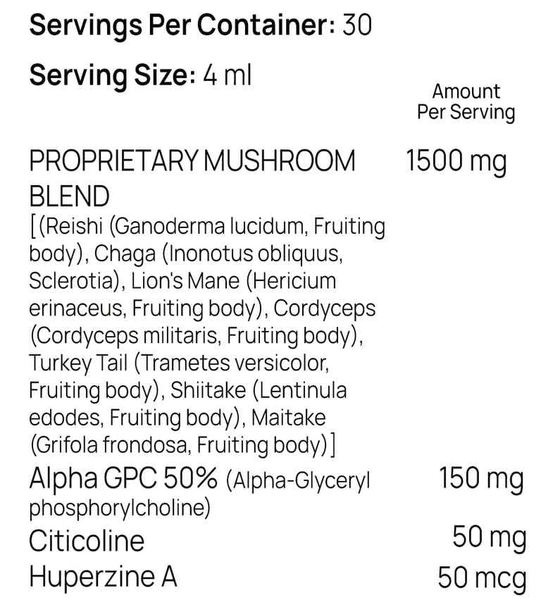 newton-premium-brain-supplement-for-memo-6.jpg