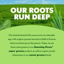 amazing-grass-super-greens-powder-stick--5.jpg