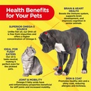 petjesty-pure-omega-3-oil-for-dogs-cats--4.jpg