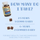 mini-mushys-organic-goodnight-rest-gummi-5.jpg