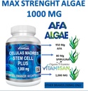 vitamisan-celulas-madres-60-capsules-100-2.jpg