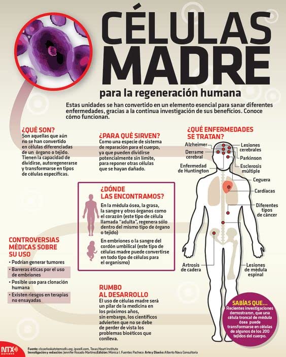 madre-cell-plus-suplemento-de-f-rmula-de-2.jpg