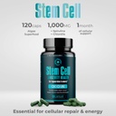 premium-stem-cell-supplements-1-000mg-24-5.jpg
