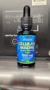 celulas-madres-stem-cell-support-plant-b-5.jpg