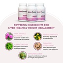 jj-smith-liver-focus-liver-cleanse-suppl-3.jpg