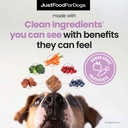 justfoodfordogs-probiotic-booster-gut-he-3.jpg