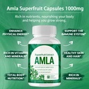 organic-amla-superfruit-capsules-1000mg--4.jpg