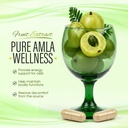 amla-capsules-organic-indian-gooseberry--2.jpg