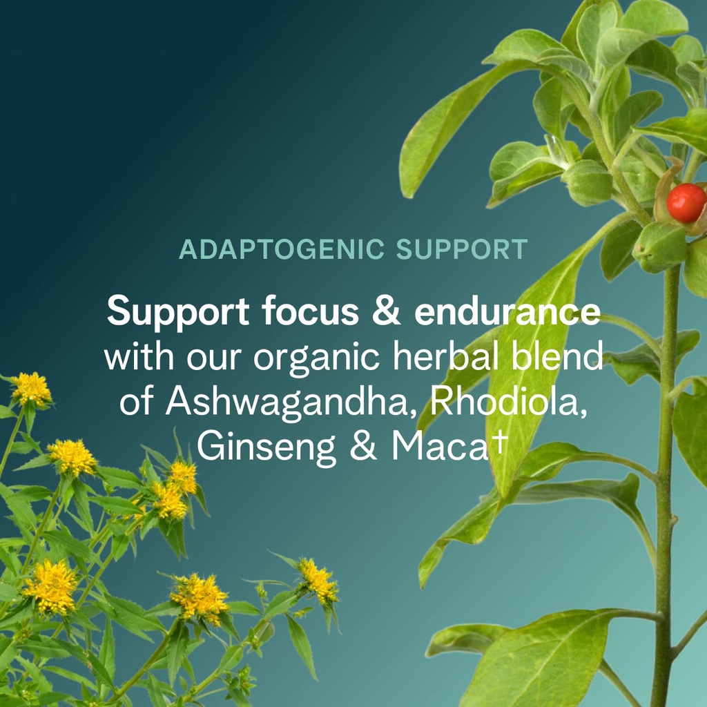 ora-organic-natural-pre-workout-powder-r-5.jpg