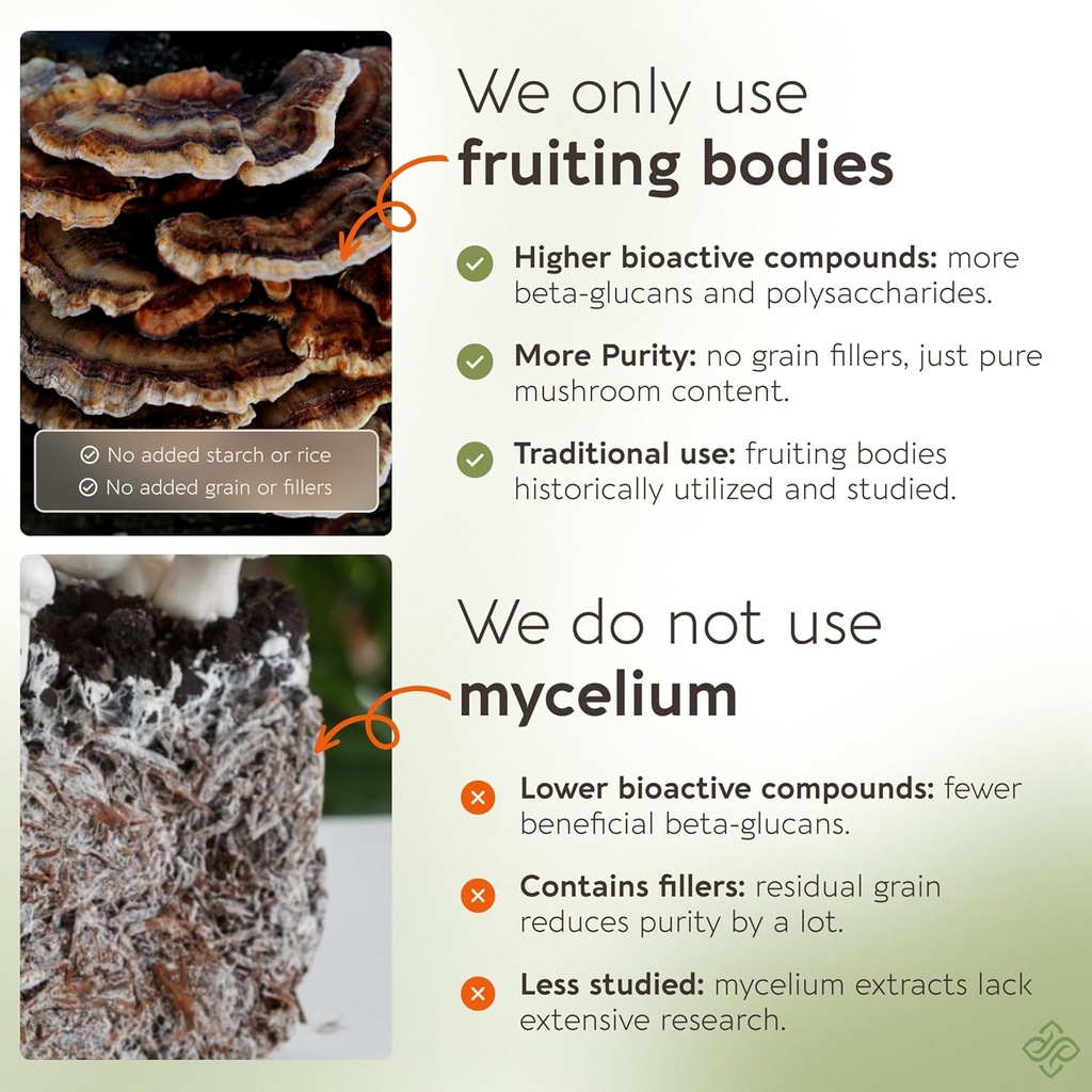 organic-turkey-tail-mushroom-capsules-su-4.jpg