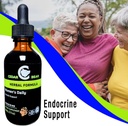 cedar-bear-womens-support-daily-a-liquid-2.jpg