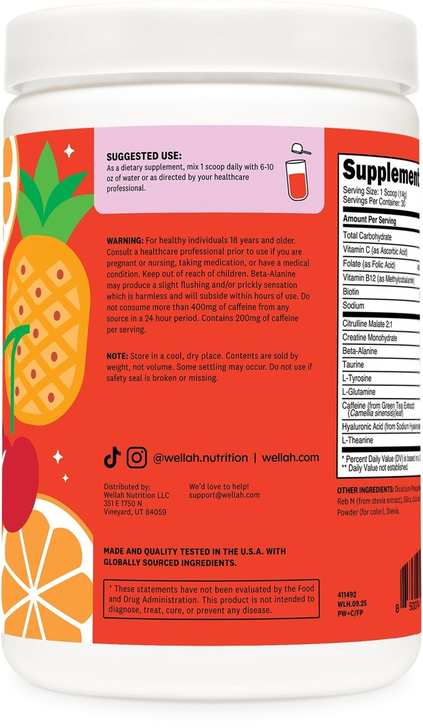wellah-pre-workout-creatine-powder-30-se-3.jpg