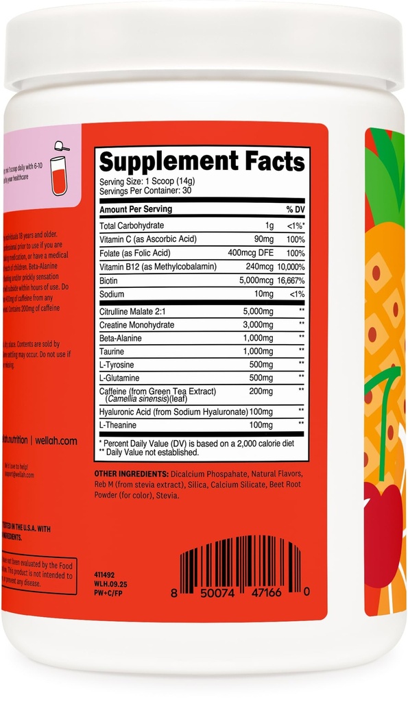 wellah-pre-workout-creatine-powder-30-se-4.jpg