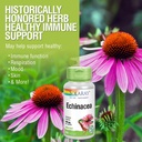 solaray-echinacea-purpurea-root-440-mg-h-4.jpg