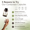 longevity-botanicals-cordyceps-mushroom--2.jpg