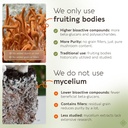 longevity-botanicals-cordyceps-mushroom--3.jpg