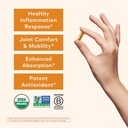 organic-india-turmeric-curcumin-herbal-s-5.jpg