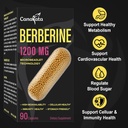 berberine-supplement-1200mg---high-bioav-6.jpg