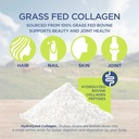 spoonful-collagen-peptide-powder-type-i--2.jpg