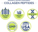spoonful-collagen-peptide-powder-type-i--6.jpg