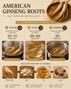 hlx-american-ginseng-pearl-root-7-year-p-6.jpg