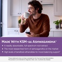ez-melts-dissolvable-ksm-66-ashwagandha--5.jpg