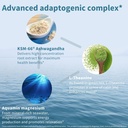 igennus-high-strength-ashwagandha-stress-3.jpg