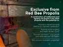 naturanectar---red-bee-propolis-capsules-4.jpg