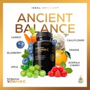 ideal-infusion-raw-whole-food-vitamin-c--5.jpg