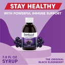 sambucol-black-elderberry-syrup-original-4.jpg