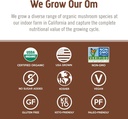 om-mushroom-cordyceps-powder-705-oz-100--6.jpg