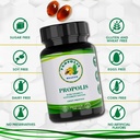 propolis-health-propolis-capsules-1000mg-4.jpg